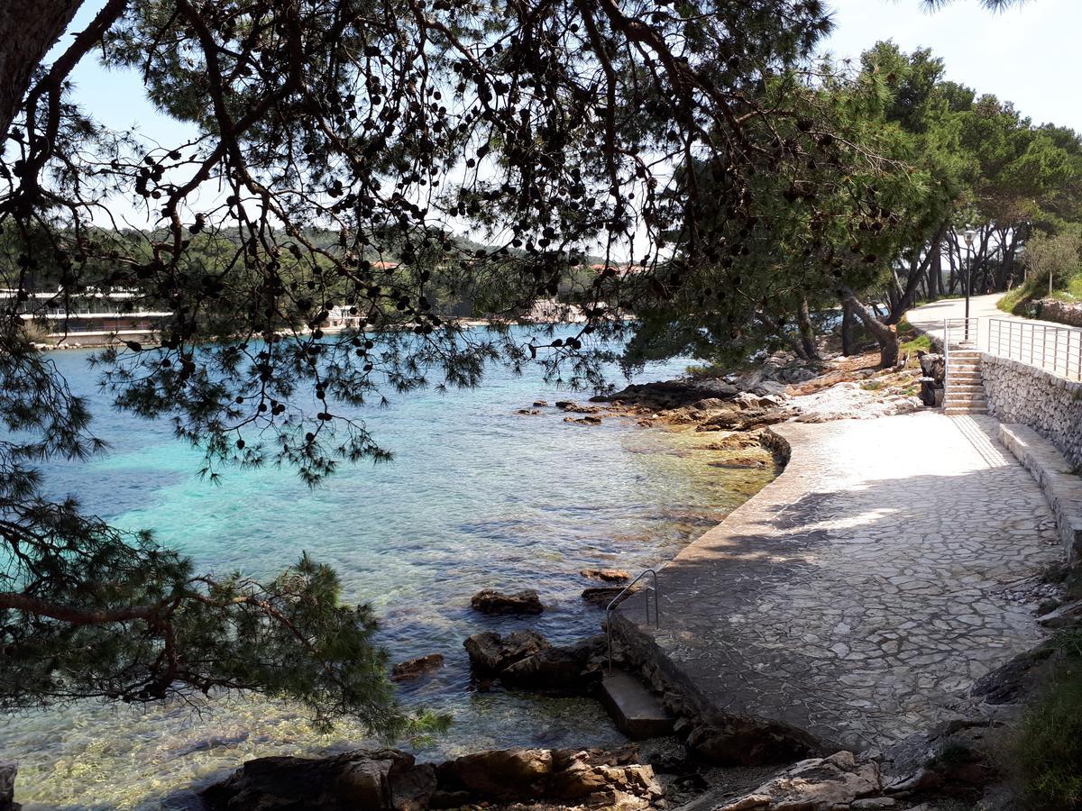 Apartments Aria Stari Grad  Dış mekan fotoğraf